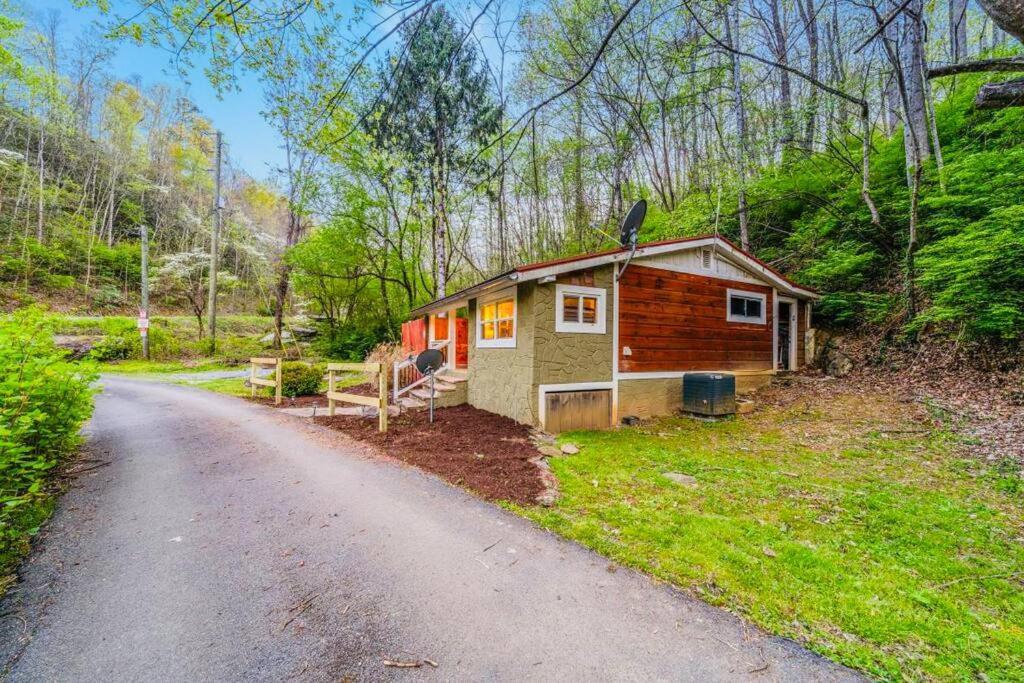 Cozy Cub Mountain Escape Villa Гетлинбург Екстериор снимка